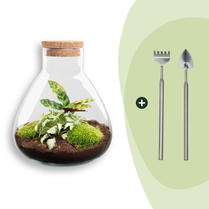 Flaschengarten Sammie DIY – Pflanzenterrarium im Glas mit Korkdeckel – Mini – Dschungel im Glas Ø22,5×H27cm – Ansicht 4