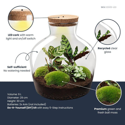 Flaschengarten DIY Bausatz Fat Joe – Terrarium Set mit Pflanzen, Moos & Zubehör – Ø29cm ↕30cm – Ansicht 5