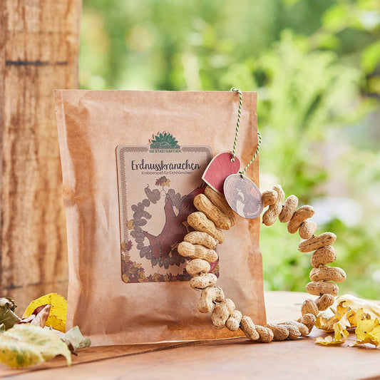 Erdnusskränzchen – Snack für Eichhörnchen 