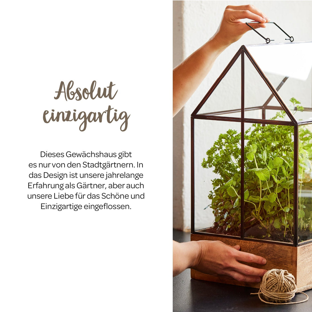 Hochwertiges Anzucht- und Gewächshaus 