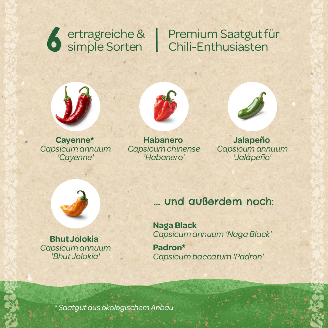 BIO-Saatgut-Set "Chili" 