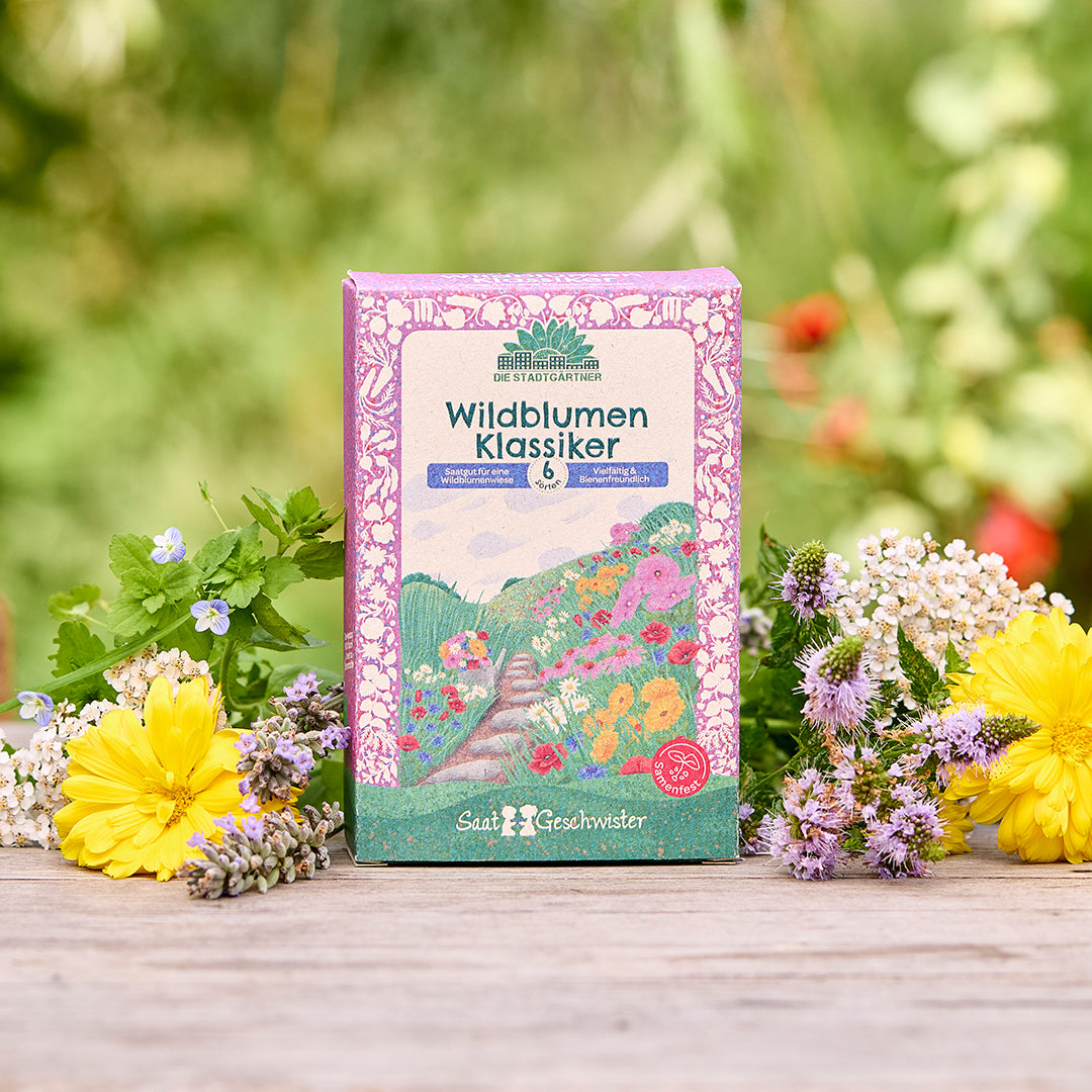 Saatgut-Set "Wildblumen" 