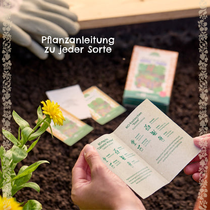BIO-Saatgut-Set "Kinder-Garten" 