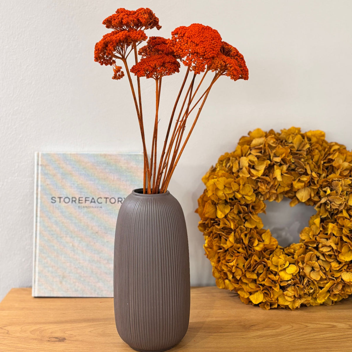 Schafgarbe getrocknet | Achillea 