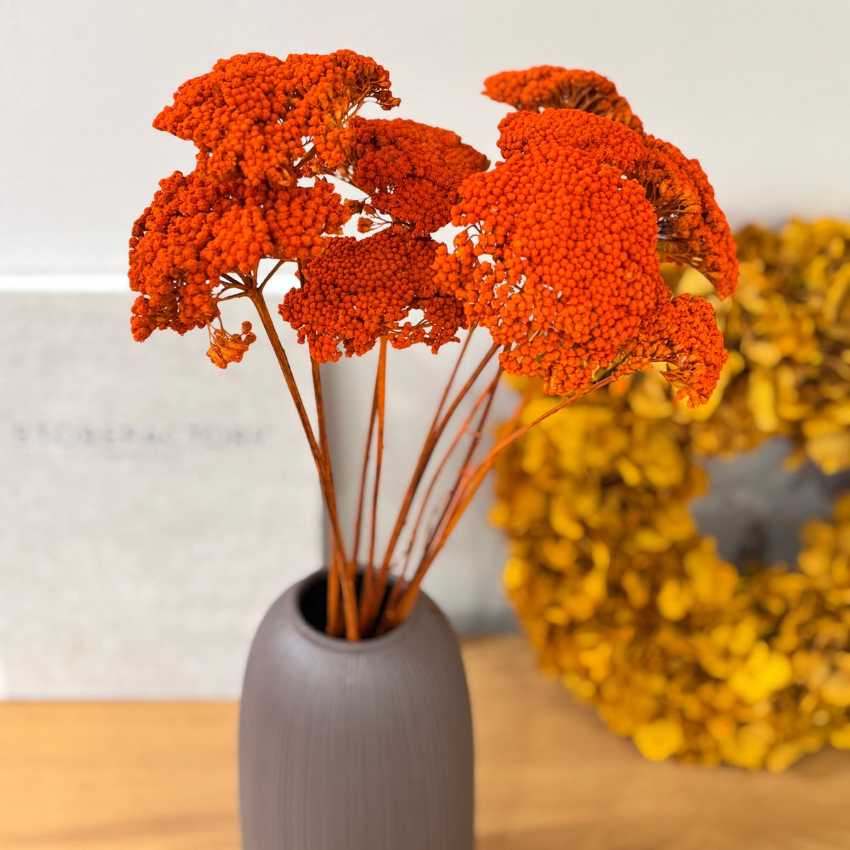 Schafgarbe getrocknet | Achillea 
