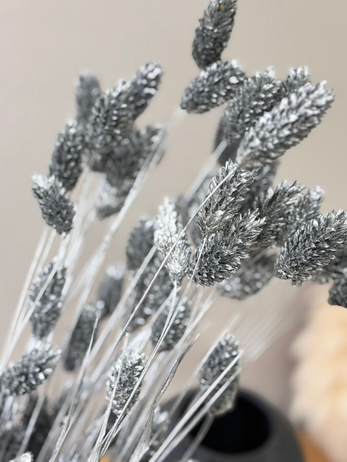 Phalaris I Kanariengras: Vielseitiger Allrounder für Deine Trockenblumen-Dekoration 