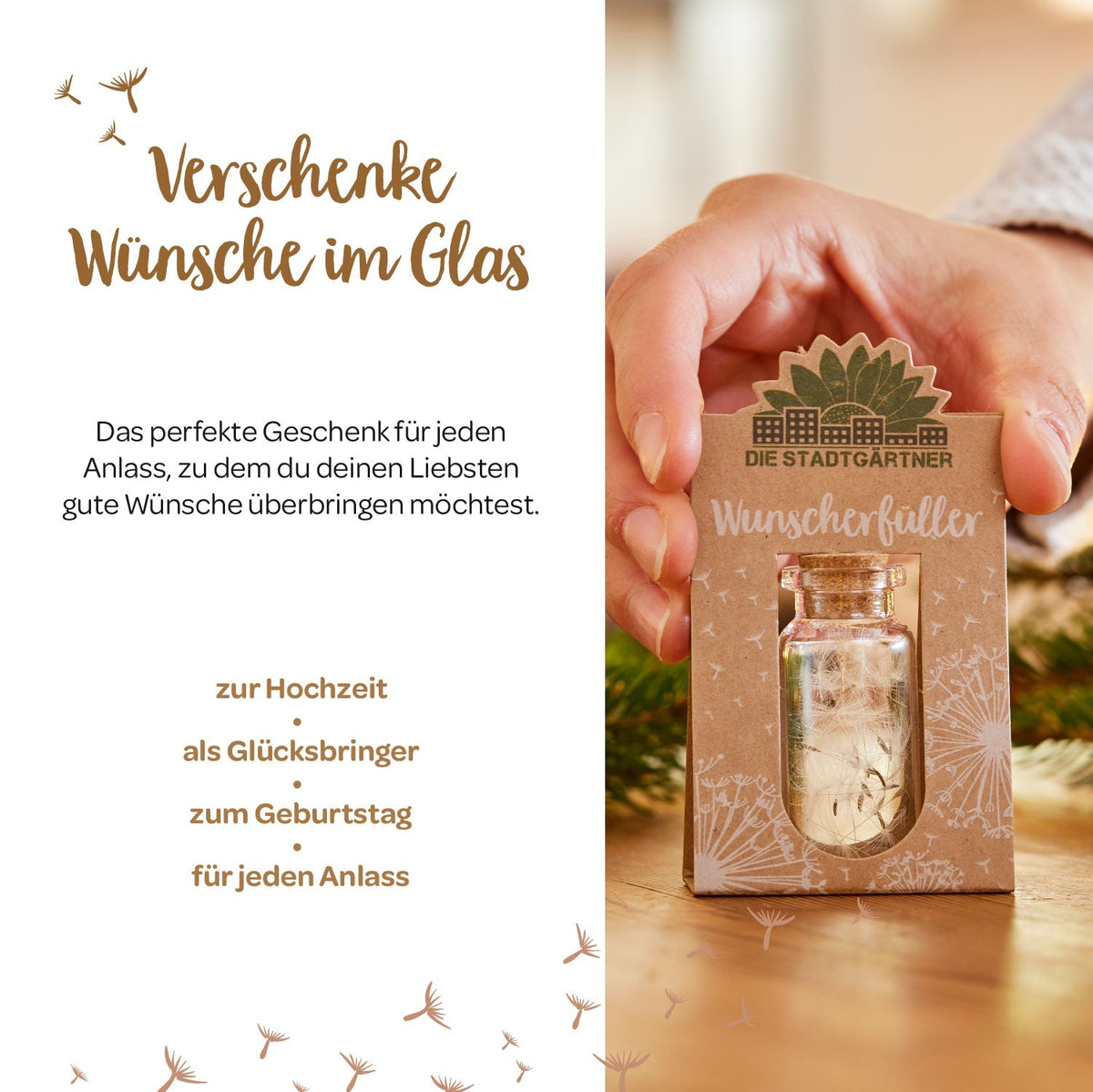 Wunscherfüller, mittel 