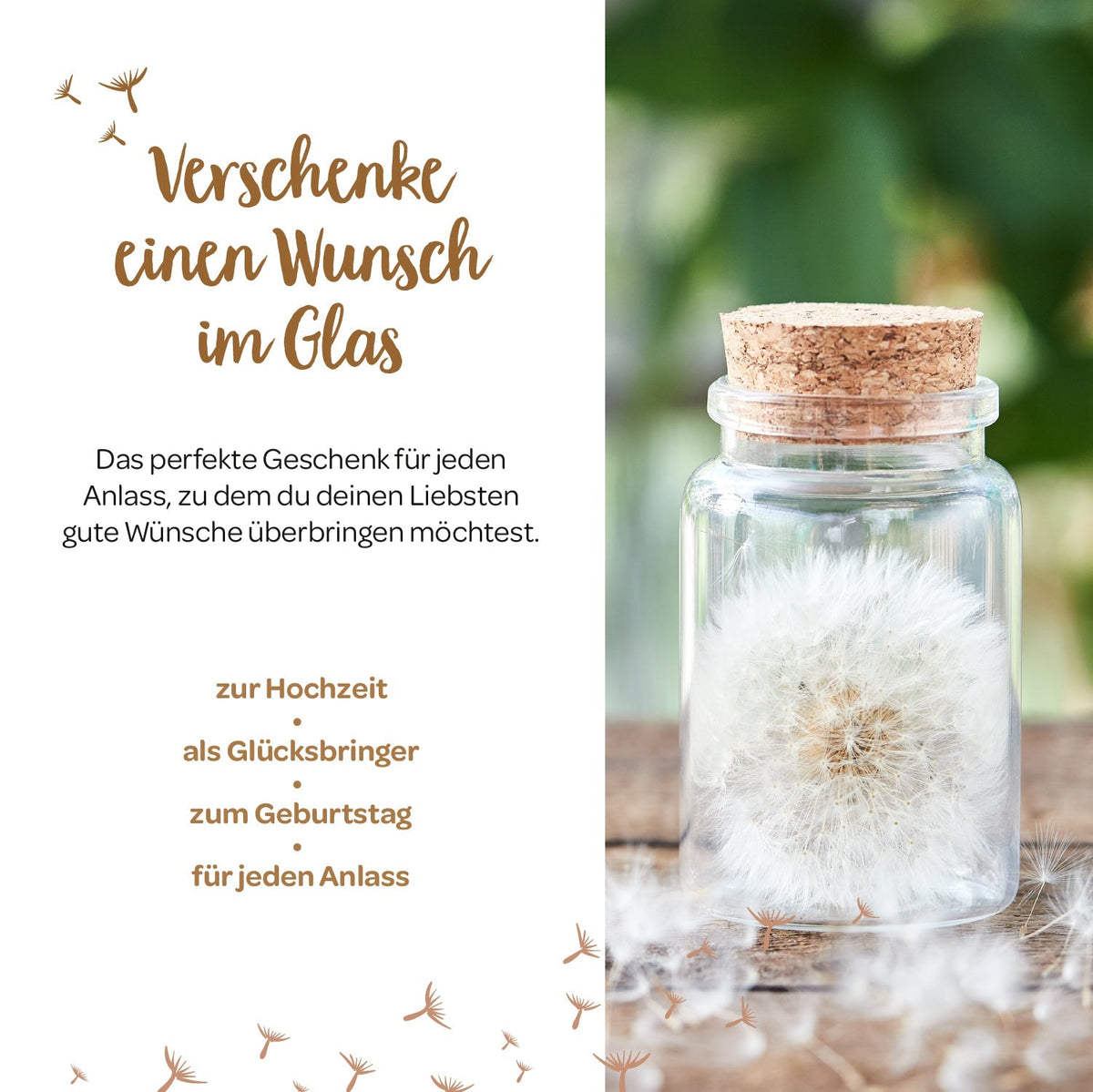 Großer Wunscherfüller – Pusteblume im Glas 