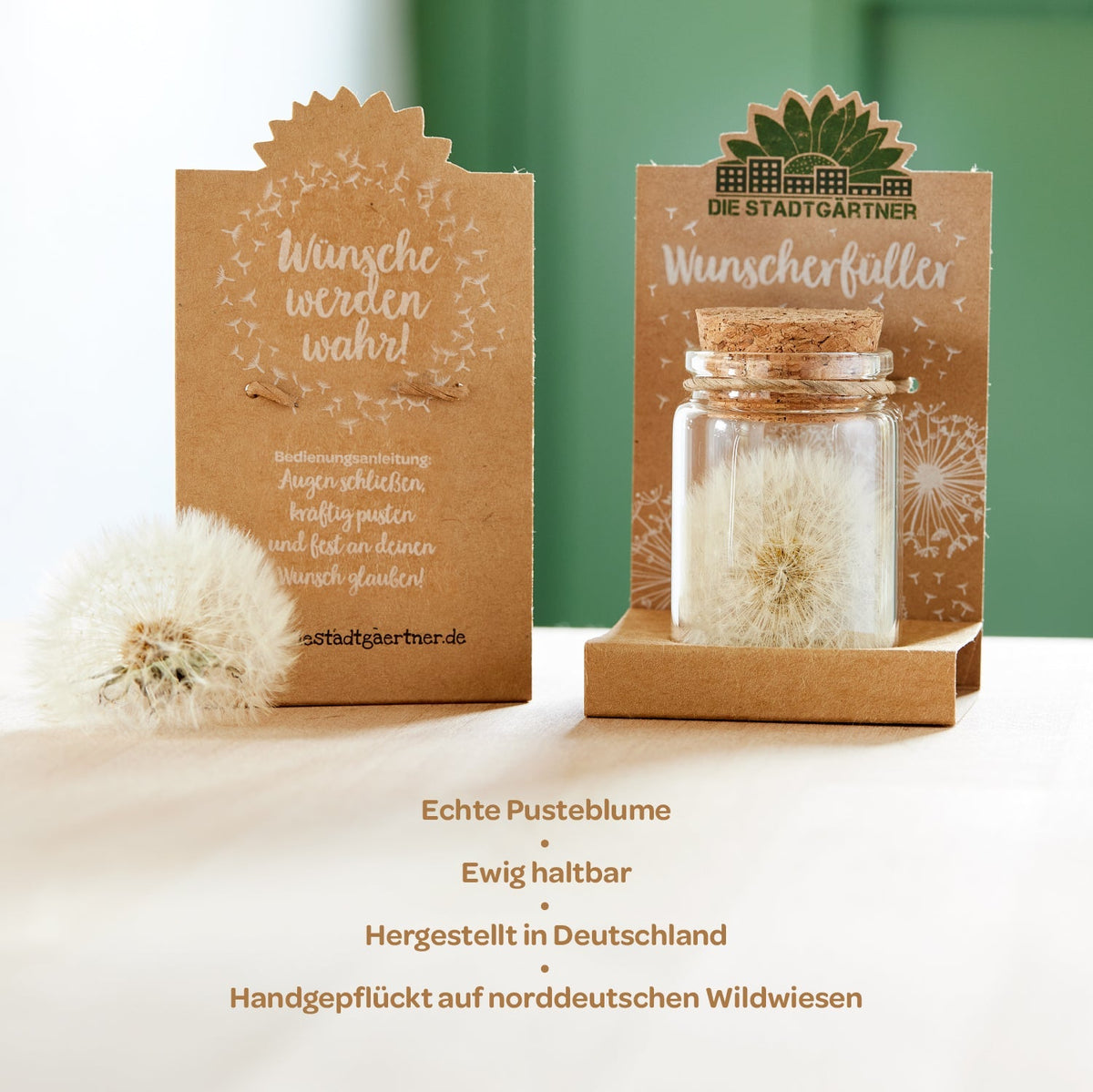 Großer Wunscherfüller – Pusteblume im Glas 