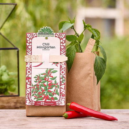 Anzuchtset – Minigarten BIO-Chili 