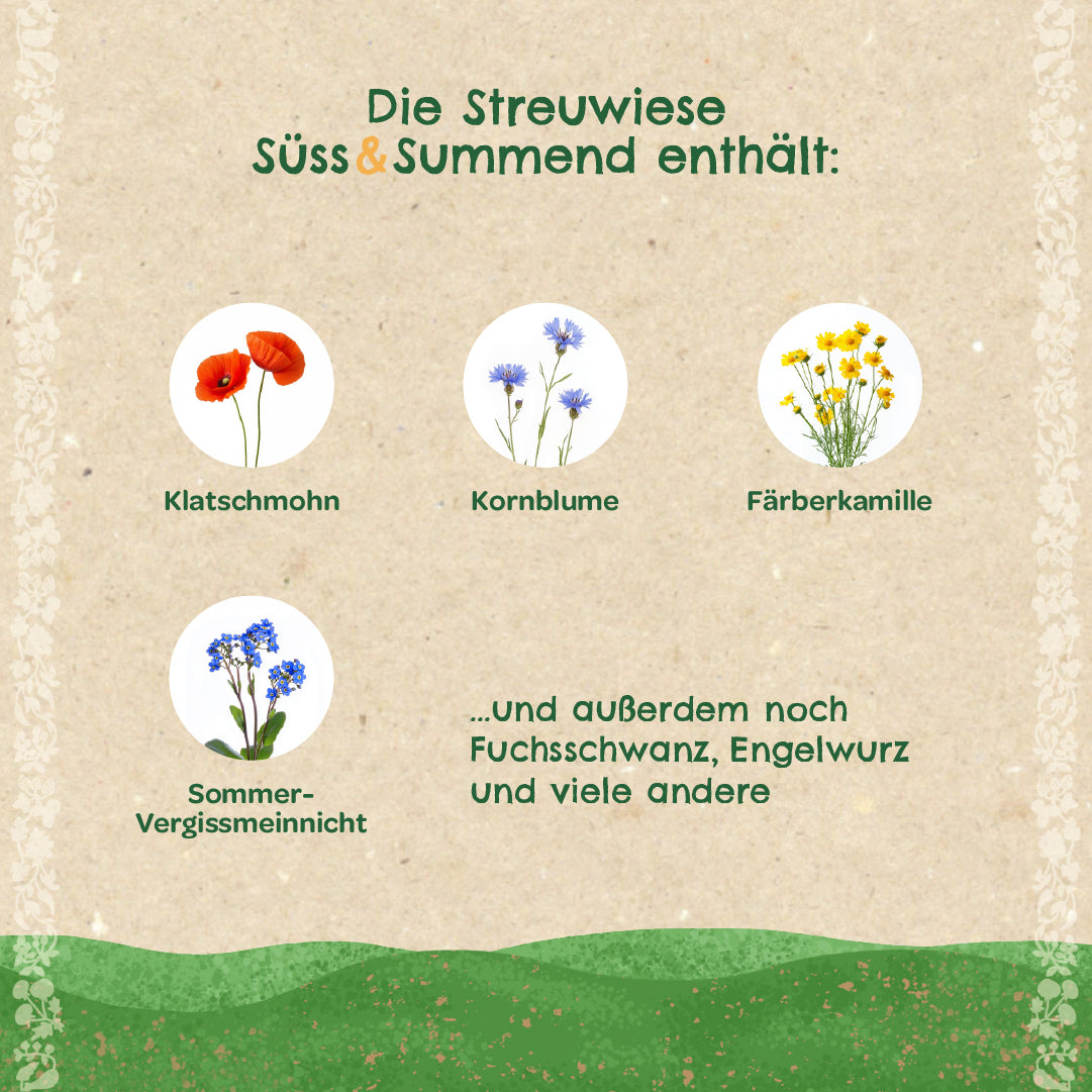 Streuwiese "Süß & Summend" 