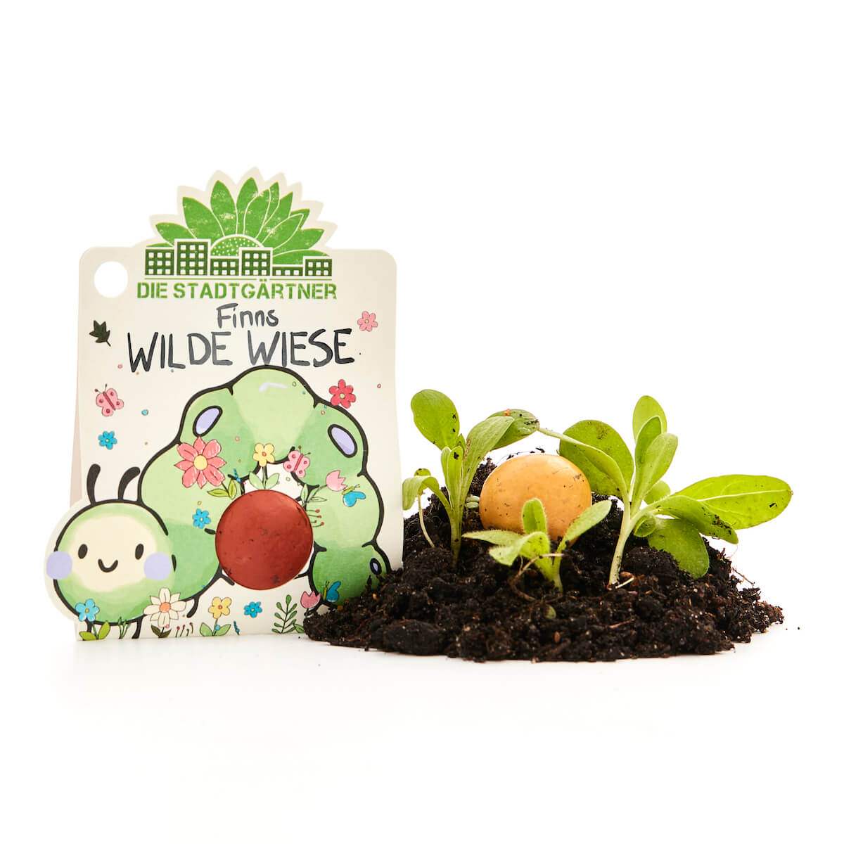 1 Blumenmurmel "Finns Wilde Wiese" 