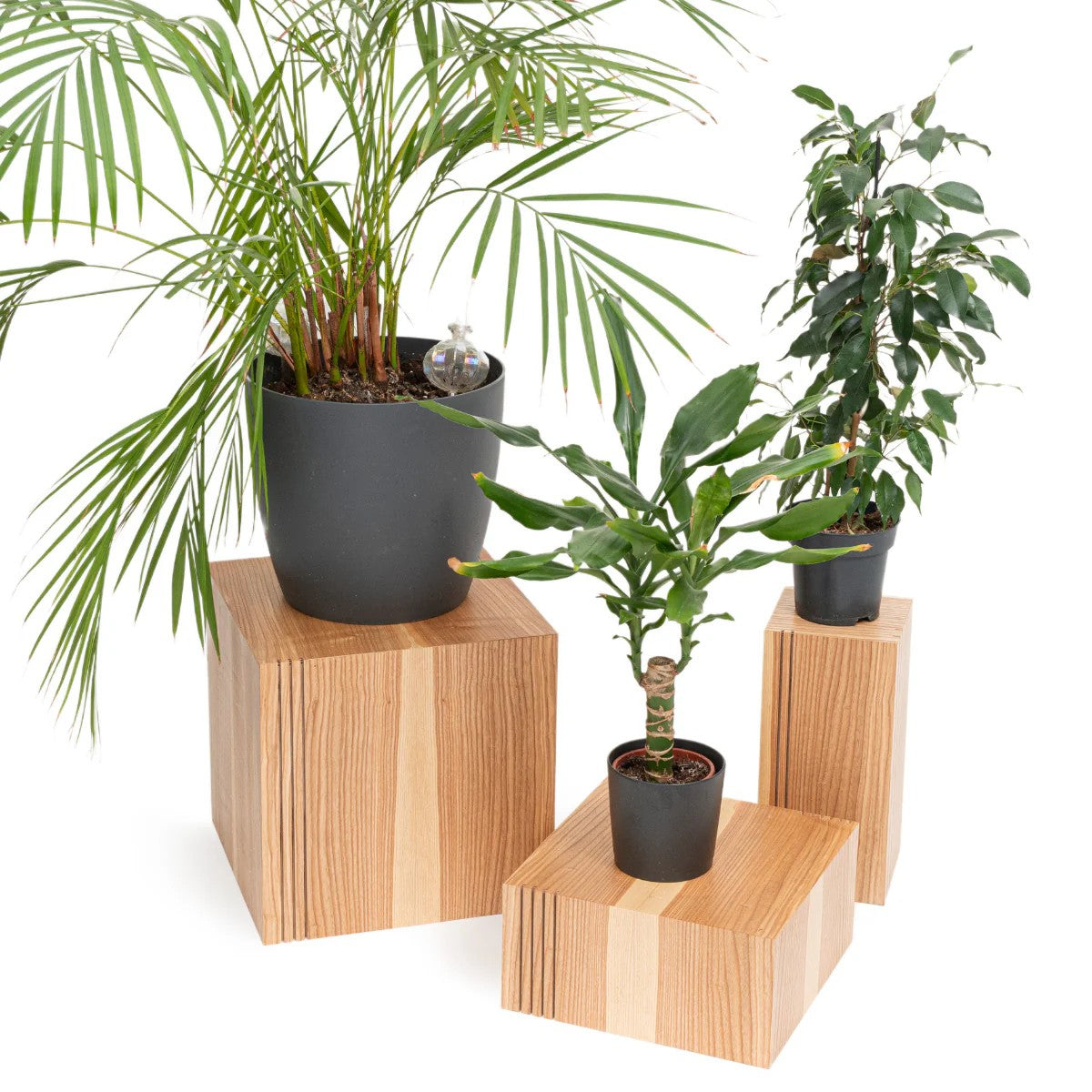 Floor Planter Podium Wooden Cubes (Set of 3) 