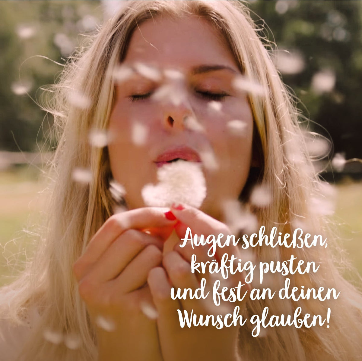 Kleiner Wunscherfüller 