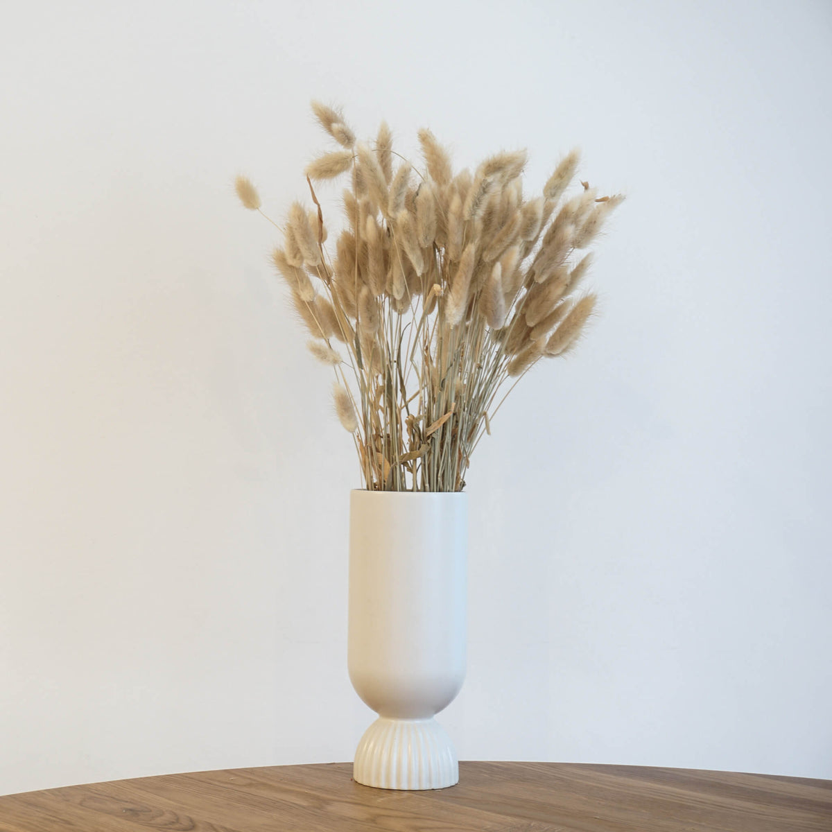 Lagurus | Samtgras | Hasenschwanz 60cm 
