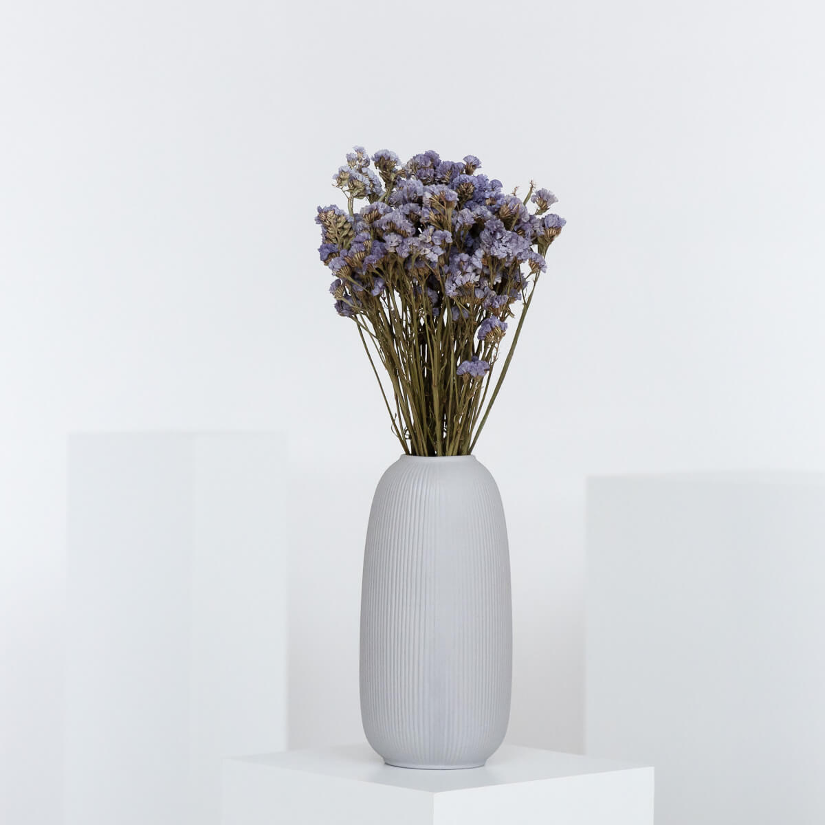 Strandflieder - Limonium Statice 