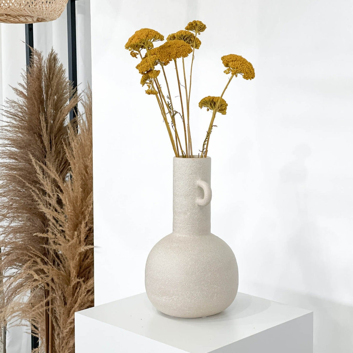 Schafgarbe getrocknet | Achillea 