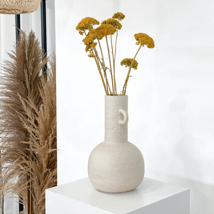 Schafgarbe getrocknet | Achillea 