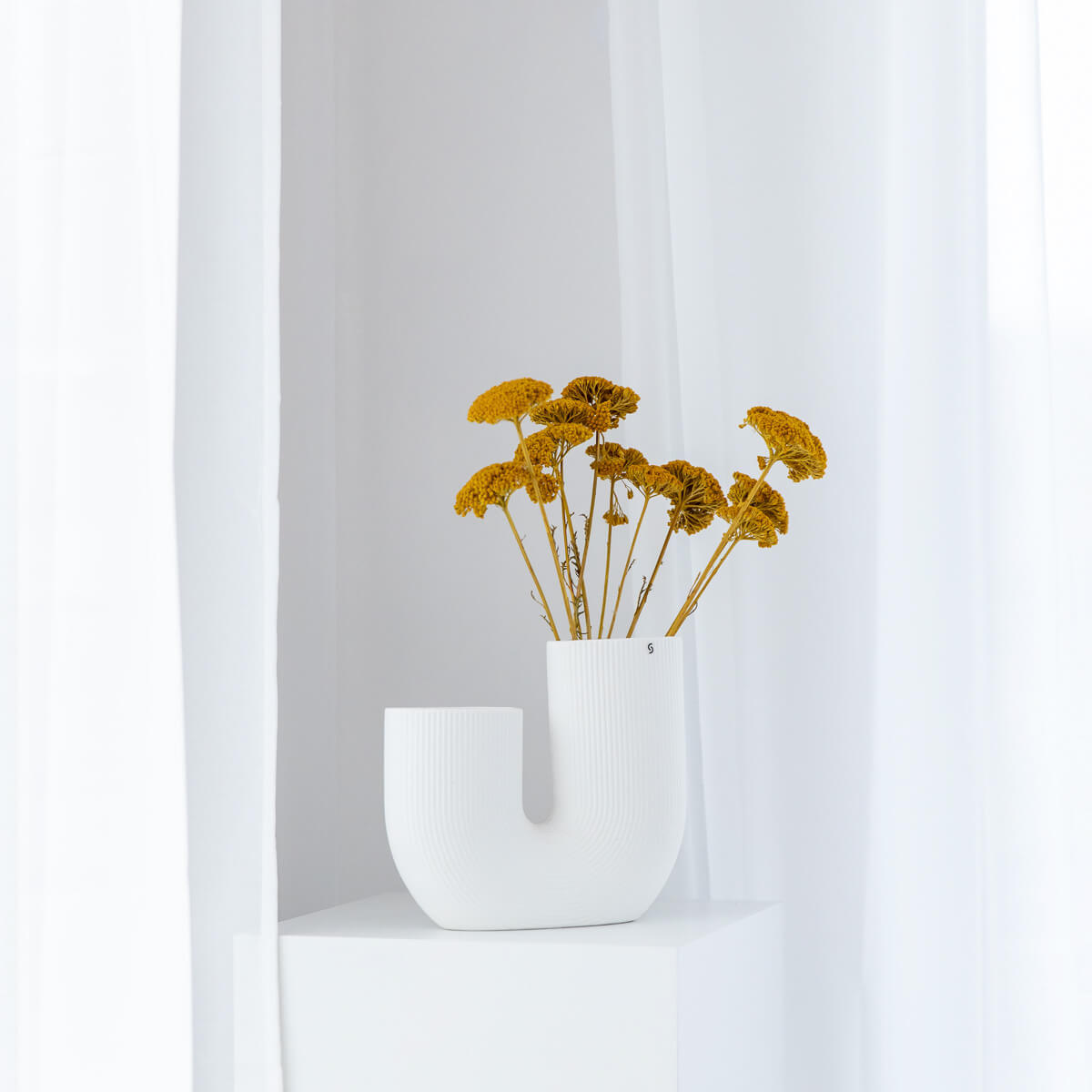 Schafgarbe getrocknet | Achillea 