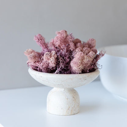 Reindeer Moss I Island Moos I Deko Moos 