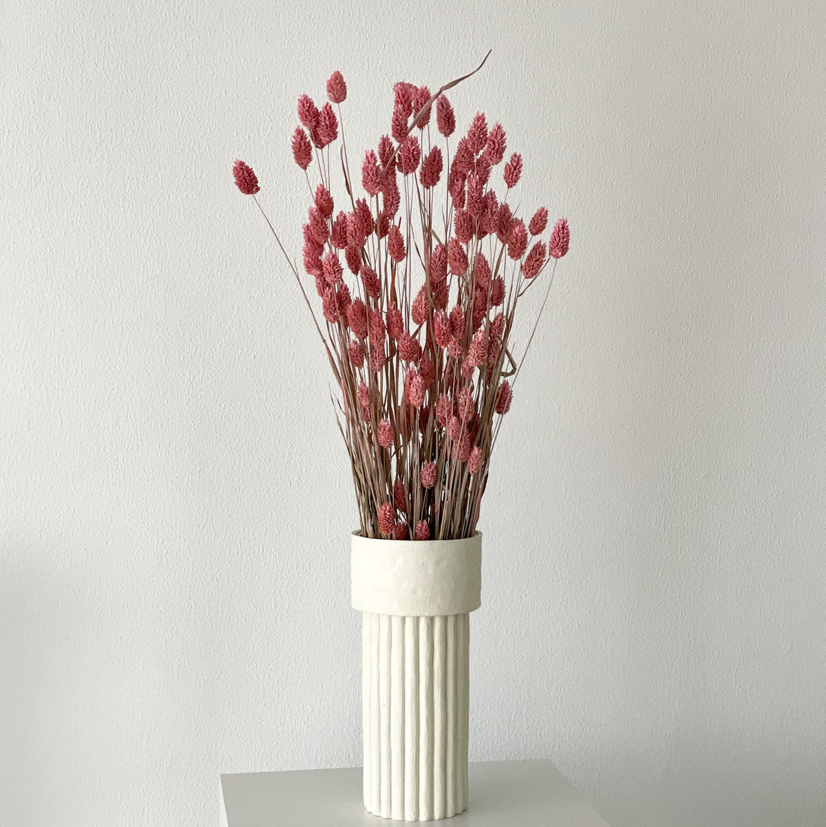 Phalaris I Kanariengras: Vielseitiger Allrounder für Deine Trockenblumen-Dekoration 