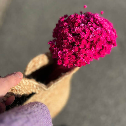 Glixia in Vielfalt: Farbenprächtige Trockenblumen für ein kreative Dekoration 