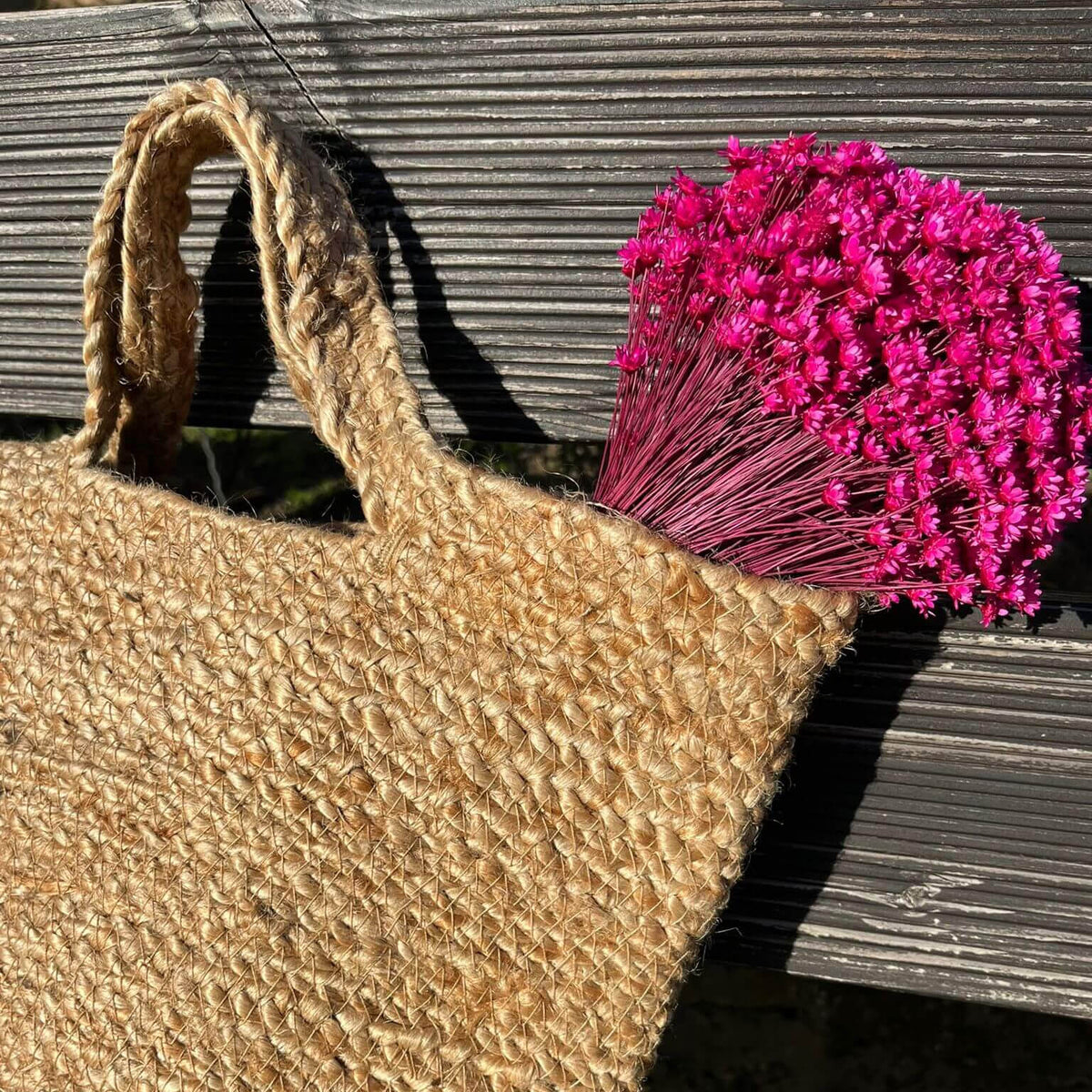 Glixia in Vielfalt: Farbenprächtige Trockenblumen für ein kreative Dekoration 