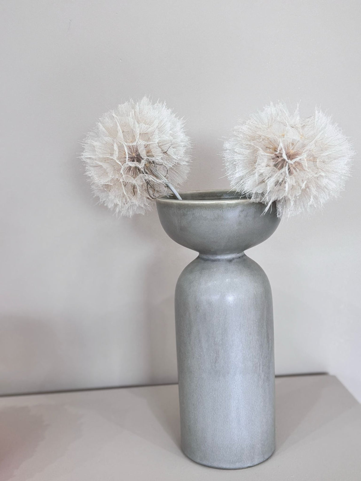 Pusteblume getrocknet einzeln 