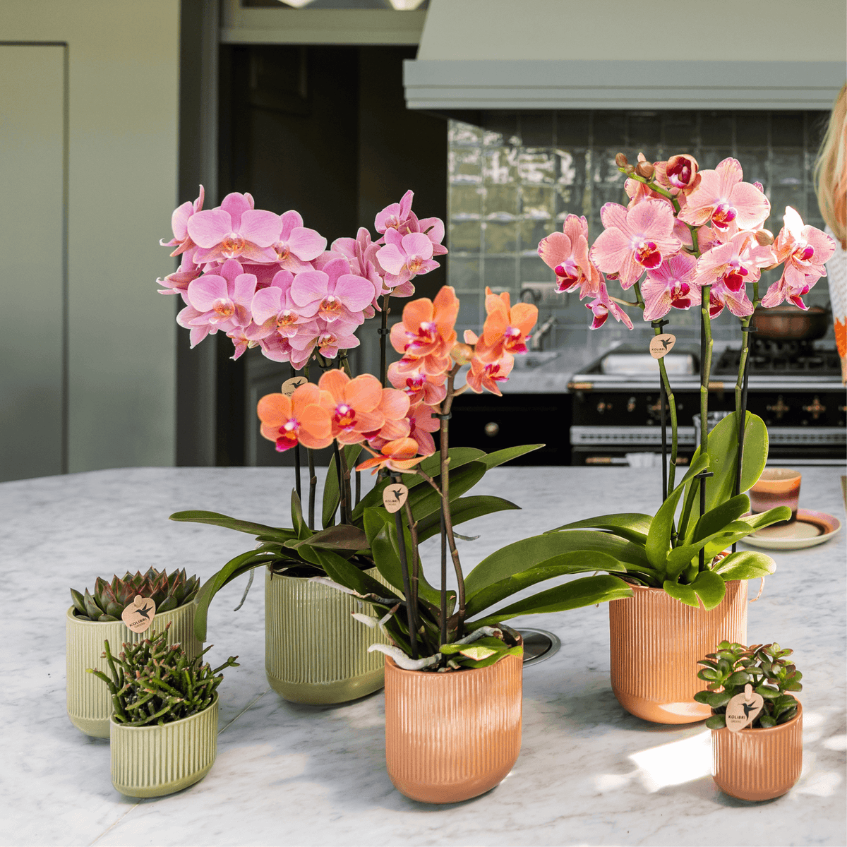 Flare Dekotopf Green – Ø9cm – Grüner Blumentopf mit Rillenstruktur – Retro-inspiriertes Design der Bold Seventies Kollektion – Für Innenräume & stilvolle Pflanzenakzente 