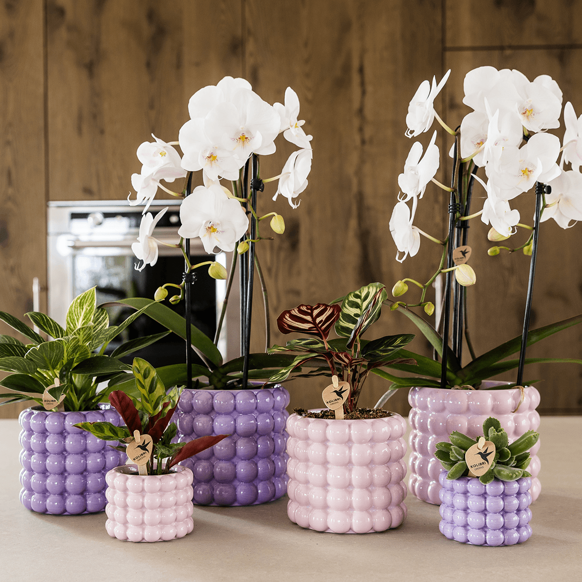 Kolibri Home | Poppy Ziertopf - Pink - Ø6cm 