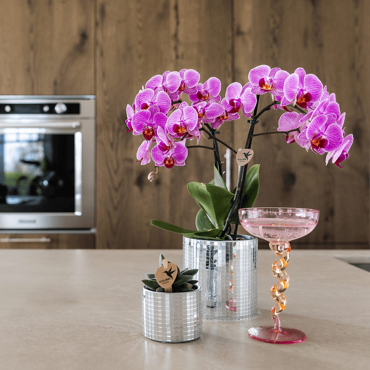 Kolibri Home | Disco sierpot - Ø6cm 