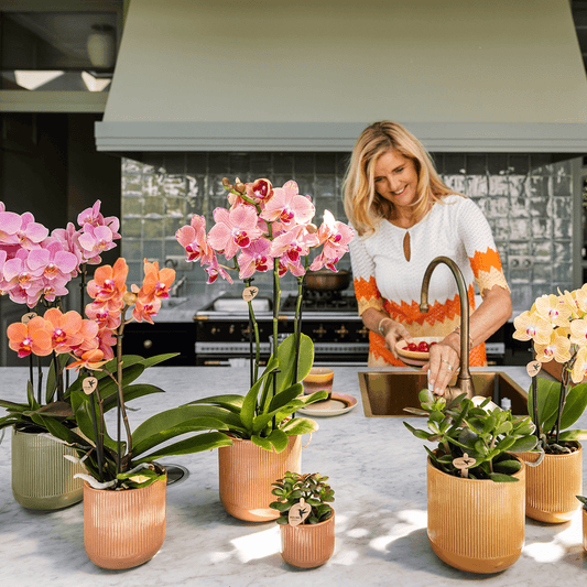 Kolibri Home | Flare Dekotopf - Ocher - Ø6cm 