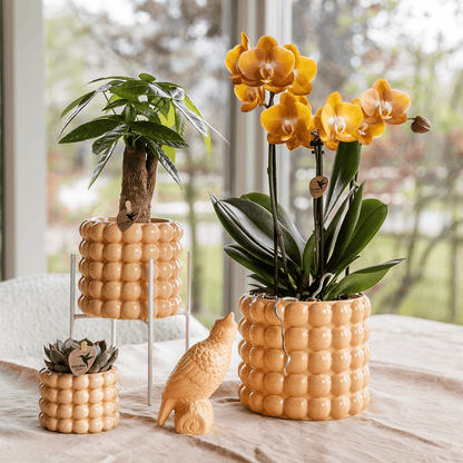 Kolibri Home | Poppy Ziertopf - Peach - Ø9cm 