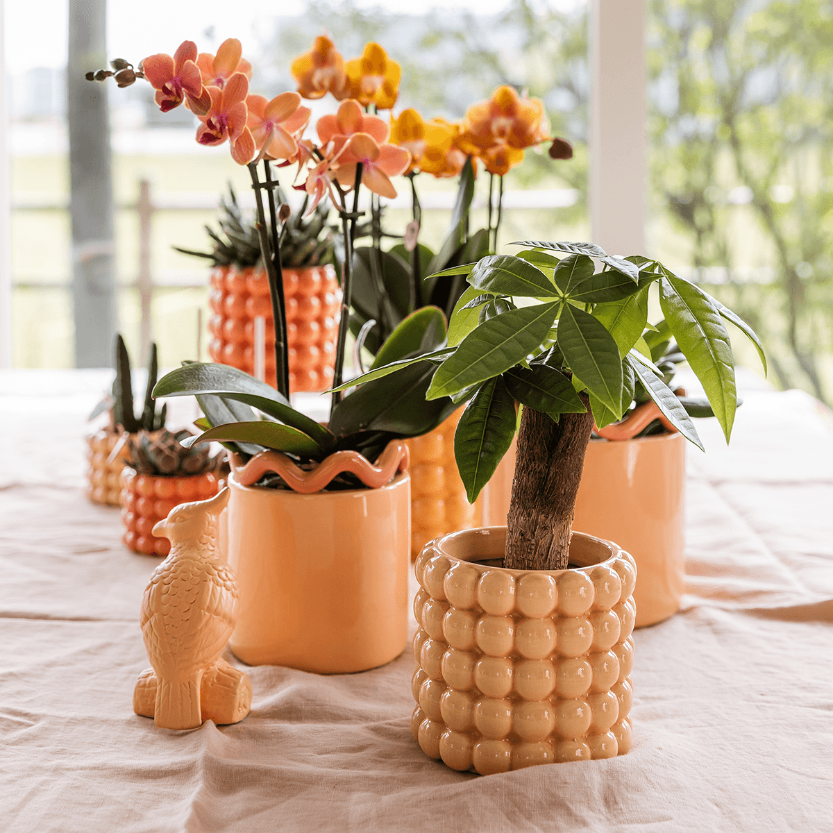 Kolibri Home | Poppy Ziertopf - Peach - Ø9cm 