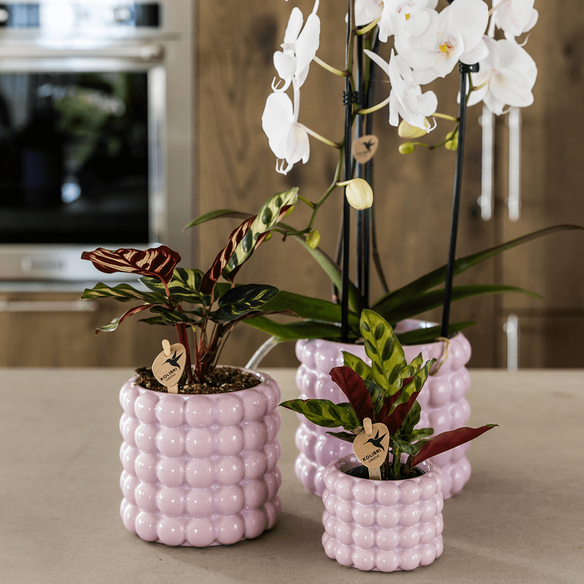 Kolibri Home | Poppy Ziertopf - Pink - Ø6cm 