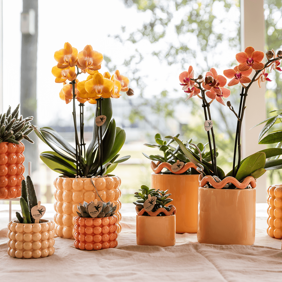 Kolibri Home | Poppy Ziertopf - Orange - Ø6cm 