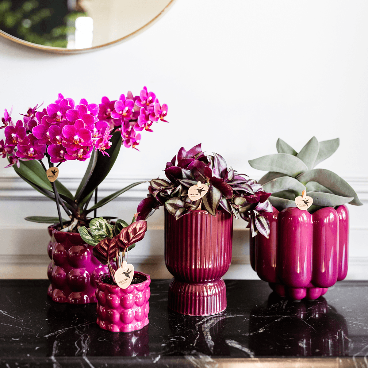 Kolibri Home | Diabolo-Ziertopf | Ø9cm - Burgundy 