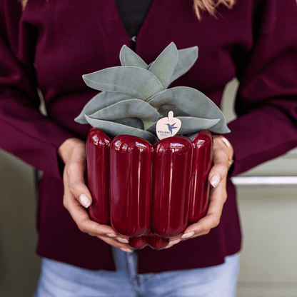 Kolibri Home | Retro Shine Übertopf - Red - Ø12cm 