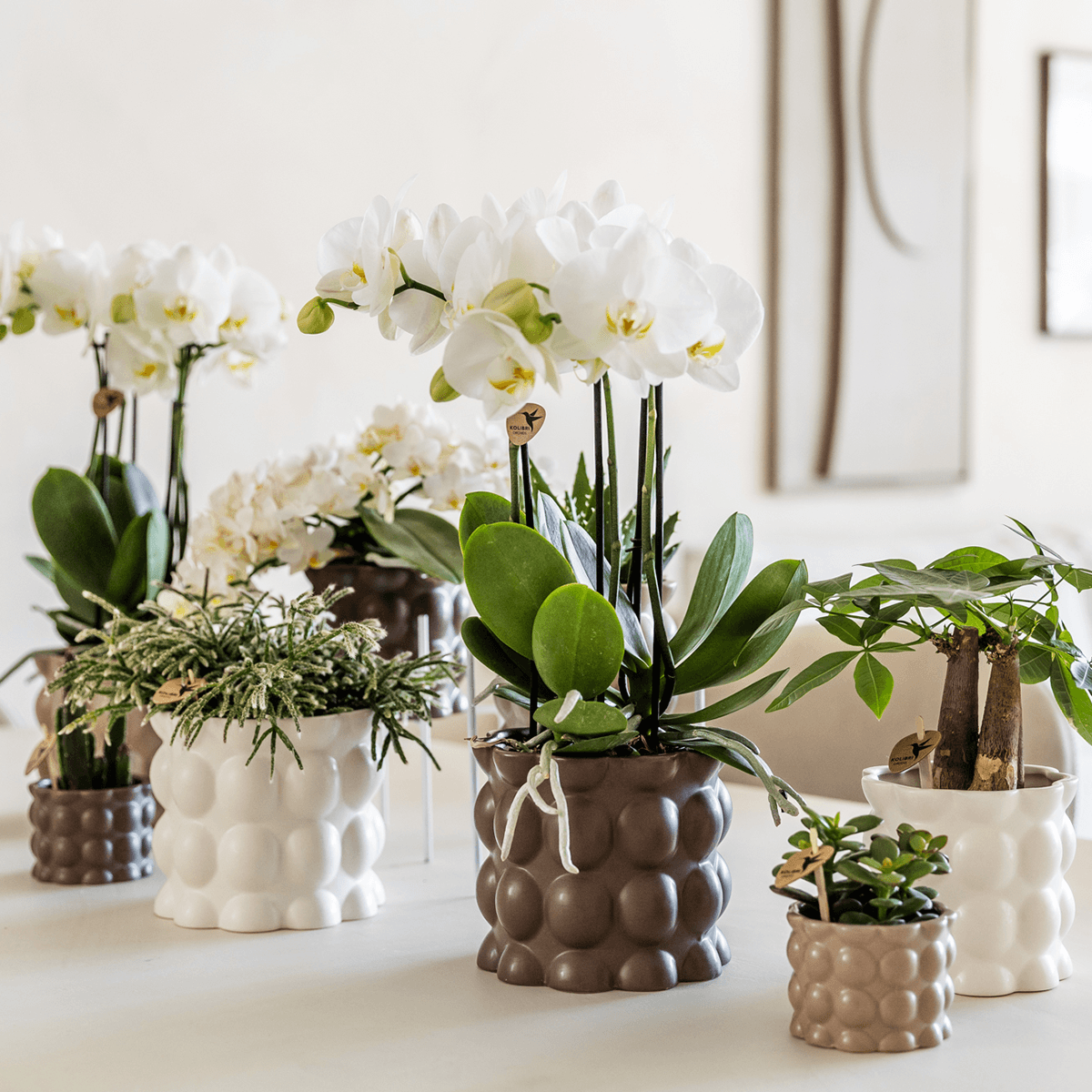 Kolibri Home | Cotton sierpot - White - Ø9cm 