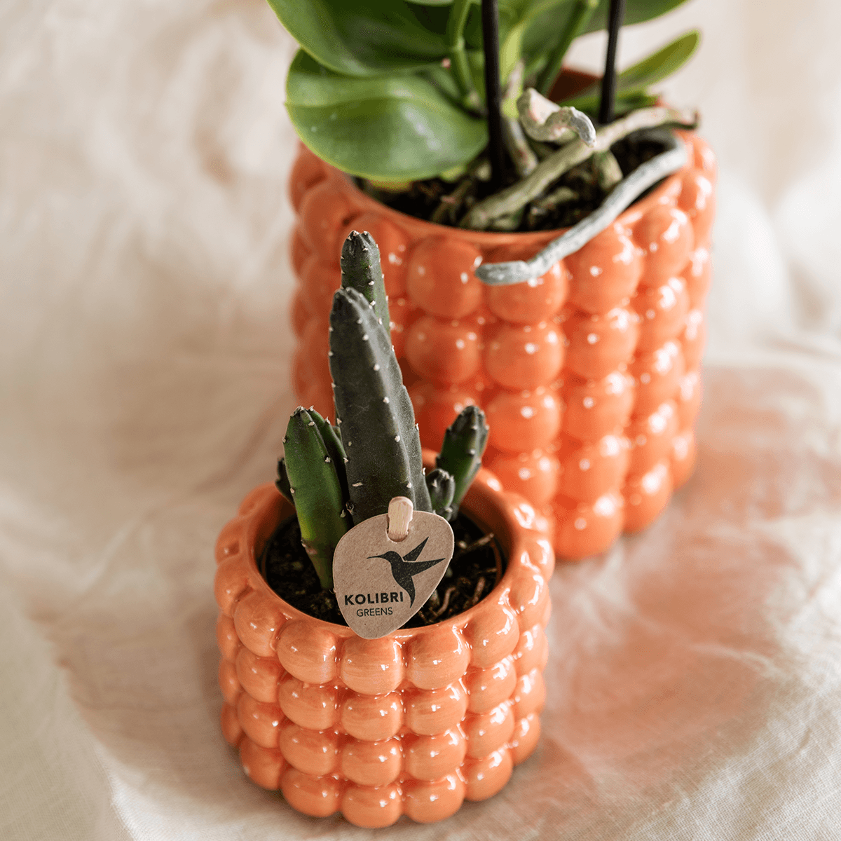 Kolibri Home | Poppy Ziertopf - Orange - Ø6cm 