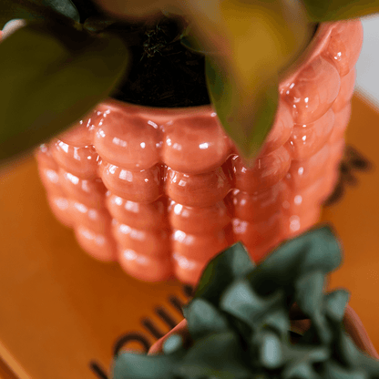 Kolibri Home | Poppy Ziertopf - Orange - Ø6cm 