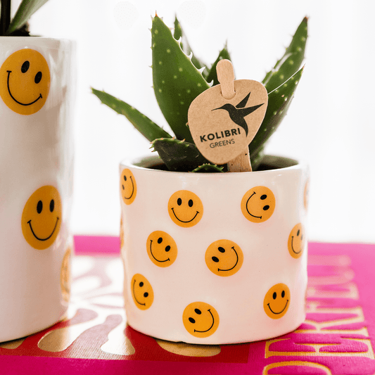 Kolibri Home | Smiley Übertopf - Ø6cm 
