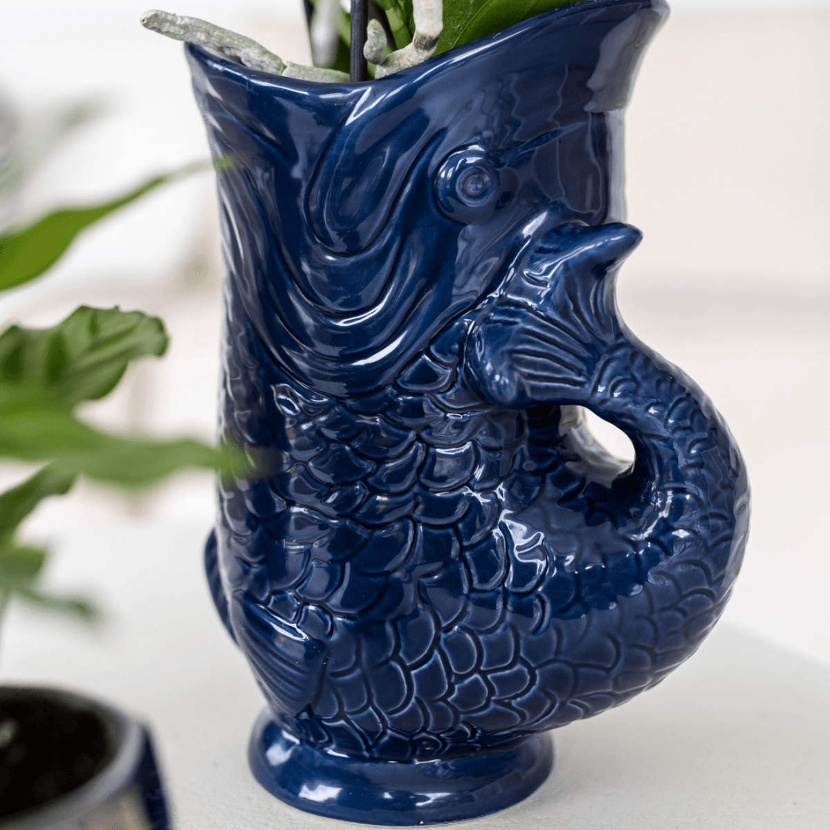 Set mit Orchidee Lima & Sukkulenten – In Keramiktöpfen Ø9cm & Ø6cm – Blühende Zimmerpflanze mit Sukkulenten – Dekoratives Pflanzenset – Frisch vom Züchter 