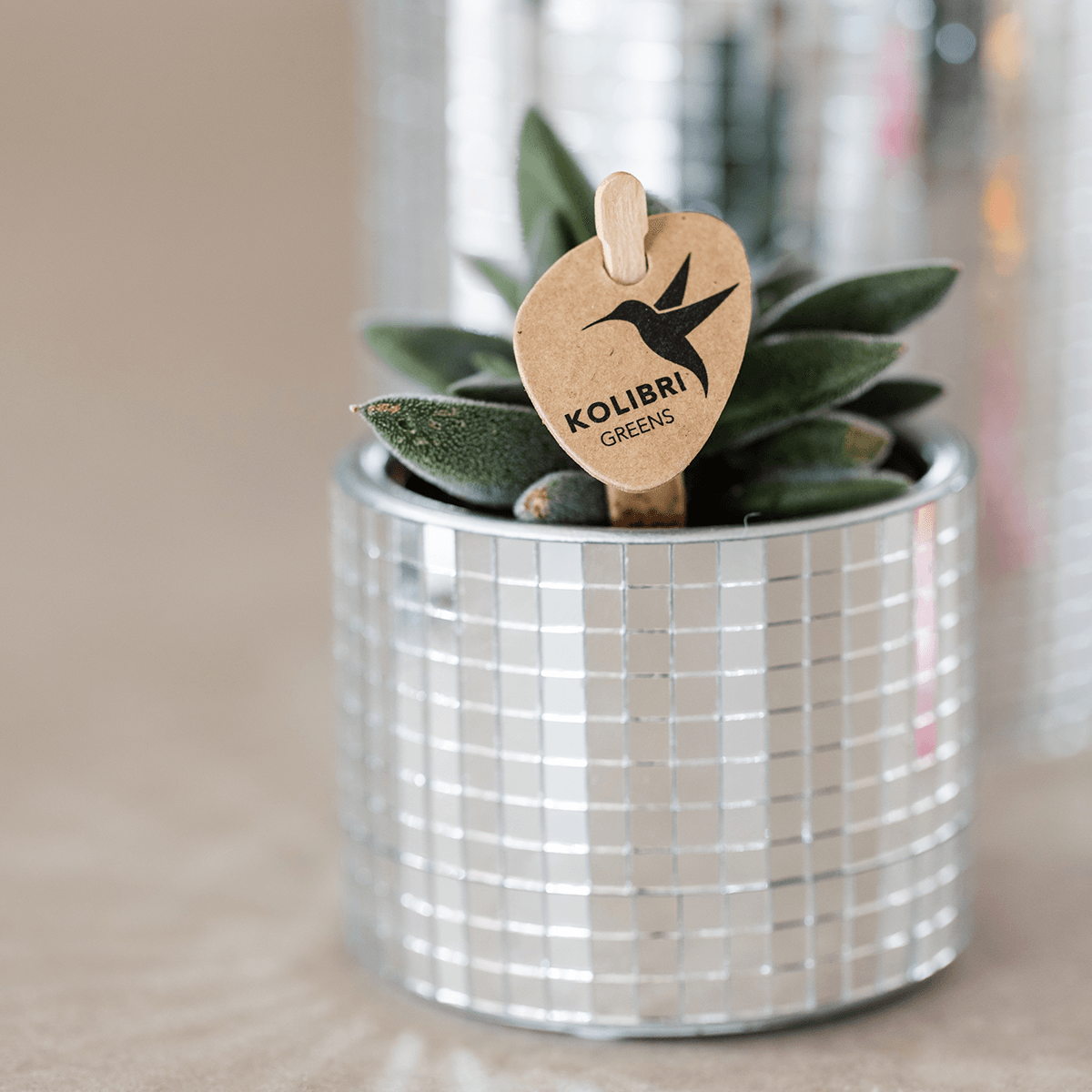 Kolibri Home | Disco sierpot - Ø6cm 