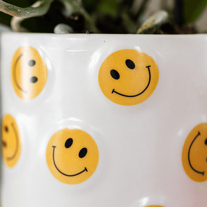 Kolibri Company | Smiley Pflanzenset | Gelbe Phalaenopsis Albenga 9cm und Sukkulente inkl. Keramik‑Übertöpfe 