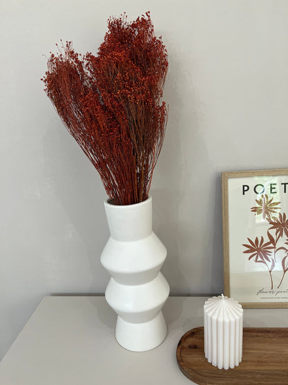 Broom Bloom - ein Bund 