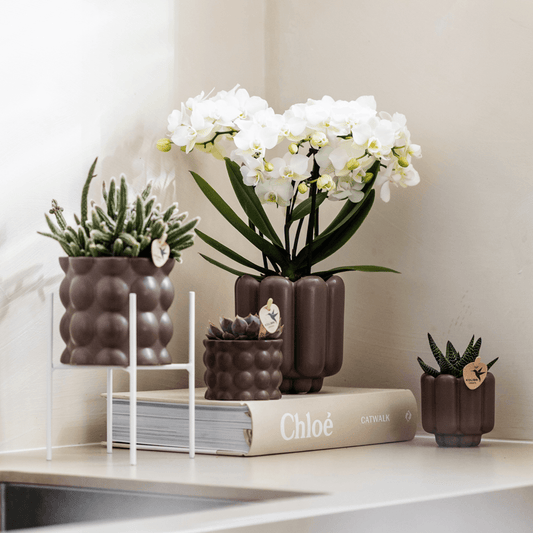 Kolibri Home | Cotton sierpot - Brown - Ø6cm 
