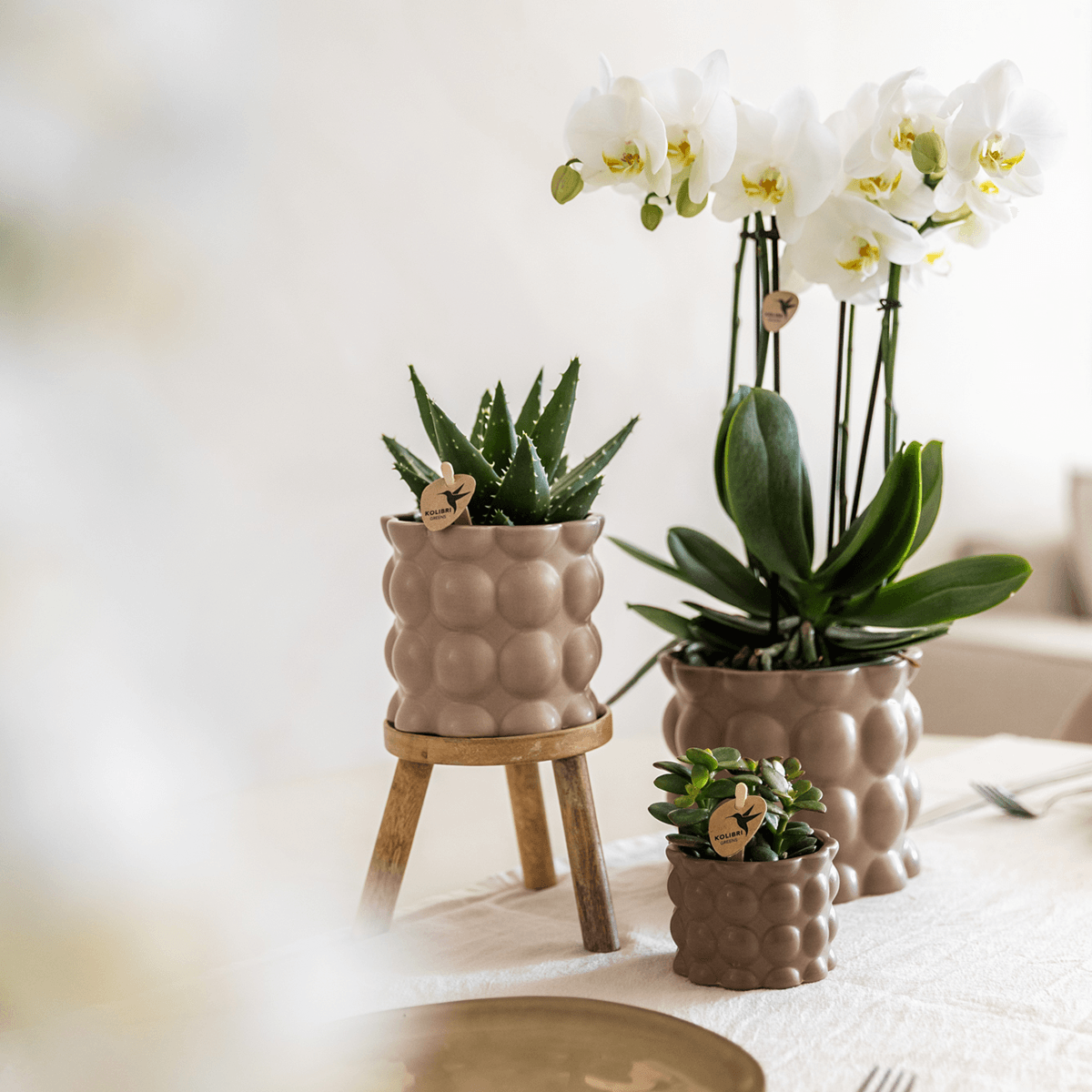 Kolibri Home | Cotton sierpot - Sand - Ø6cm 