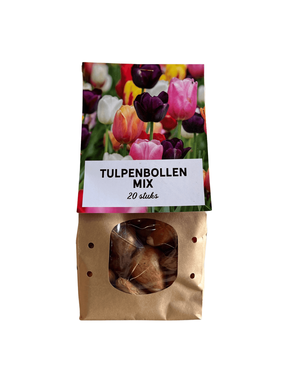 Tulpenzwiebeln Mix – 20 Blumenzwiebeln – Bunte Tulpenmischung für Garten, Topf oder Beet – Frisch vom Züchter – Pflegeleicht & mehrfarbig – Frühblüher für Frühjahr 