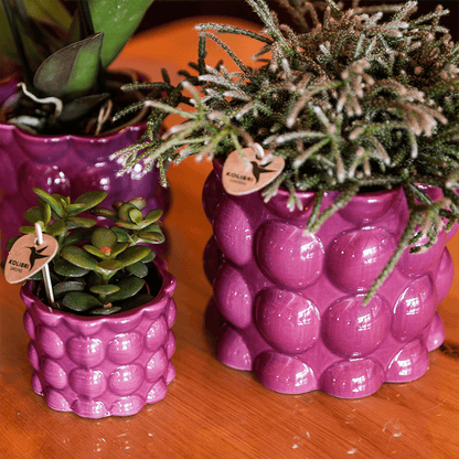 Kolibri Home | Cotton Shine Übertopf - Purple - Ø6cm 